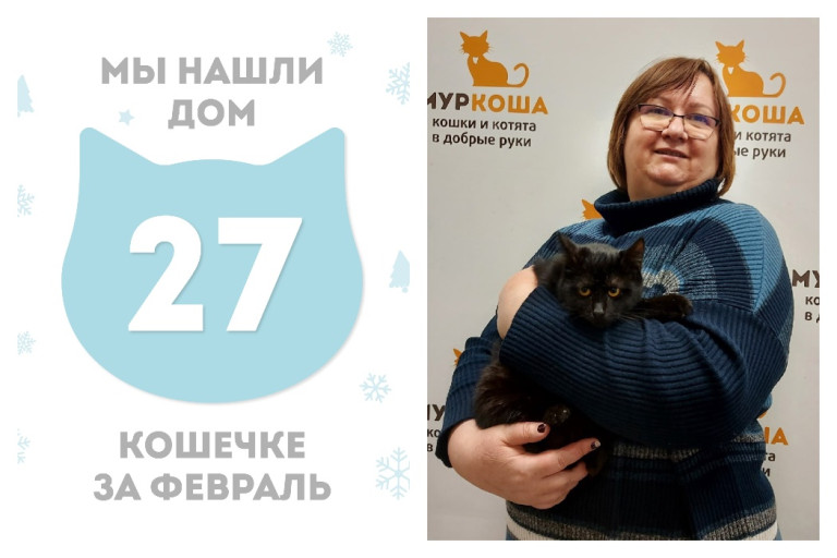 Кошечка Найда начинает домашнюю жизнь!