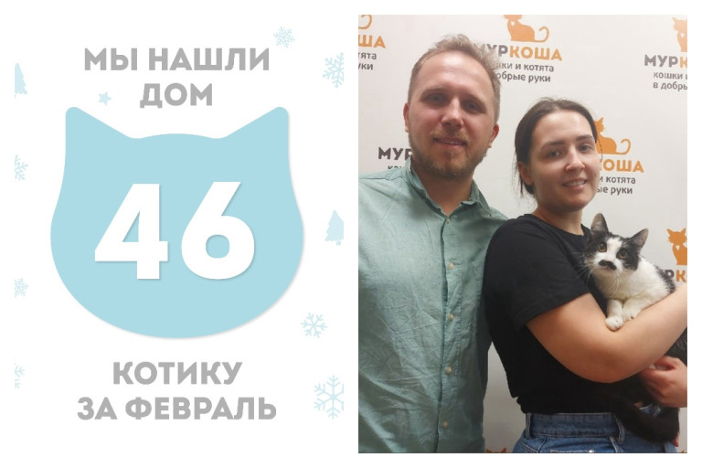 Котик Леви стал домашним всего за три недели!