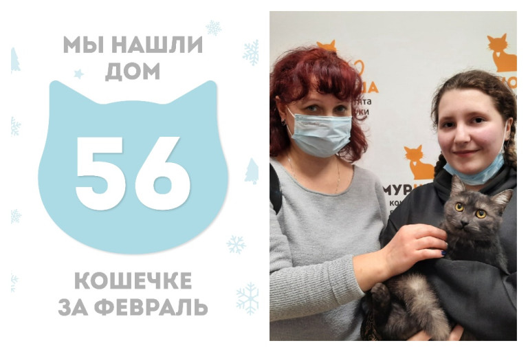 Кошечка Цапля стала домашней любимицей!