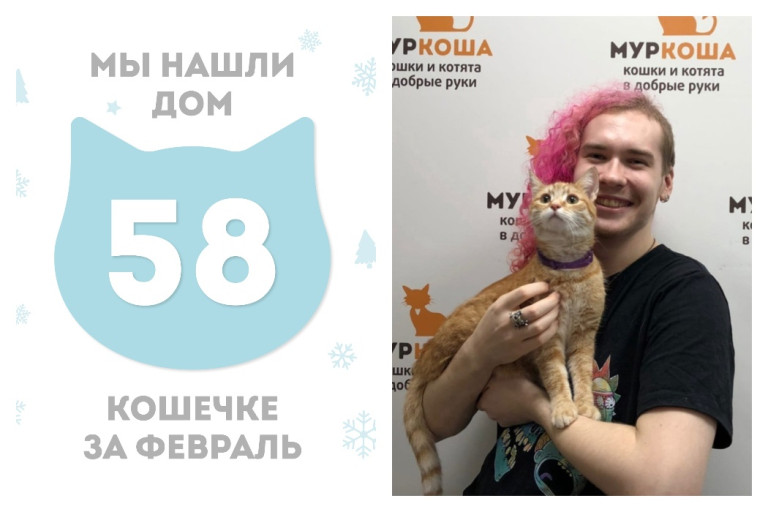 Кошечка Милочка нашла свой новый дом за две недели!