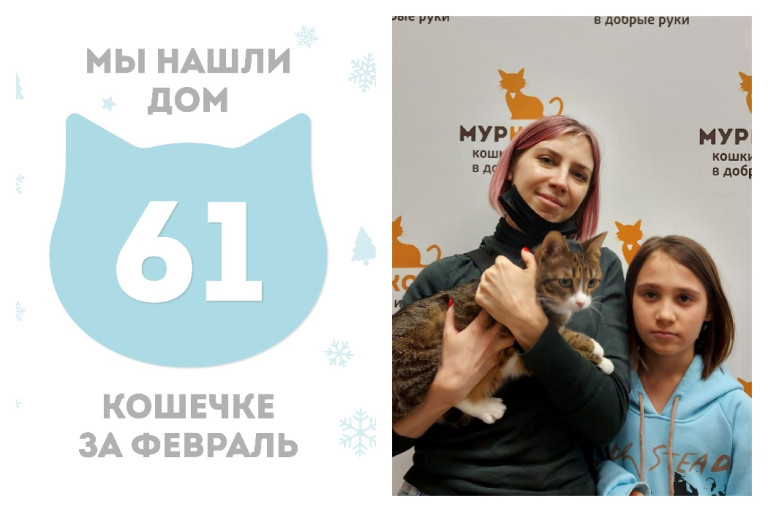 Кошечка Мулька отправляется в новый дом!