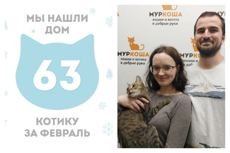 Котик Тэхи стал домашним и счастливым!