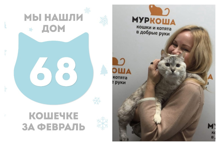 Кошечка Элизабет отправилась в новый дом!