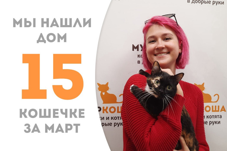 Кошечка Фефочка отправилась в счастливое путешествие домой!