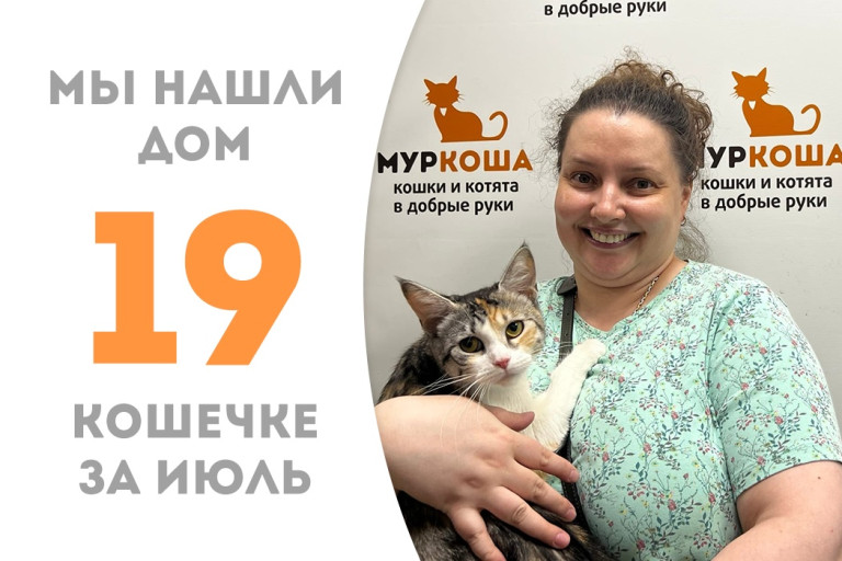 У кошечки Фессалии, пробывшей в приюте месяц, появился дом и любящая хозяйка! 