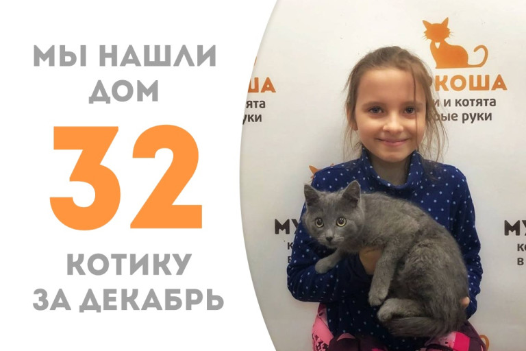 Котёнок Фирсик, проведя чуть более месяца в приюте, обрёл своё счастье!