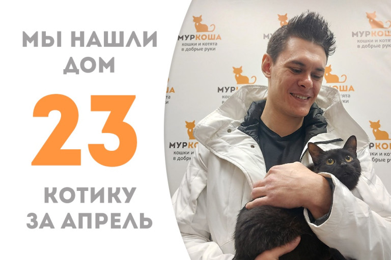 Котик Фурье встретил надежного хозяина за один месяц!
