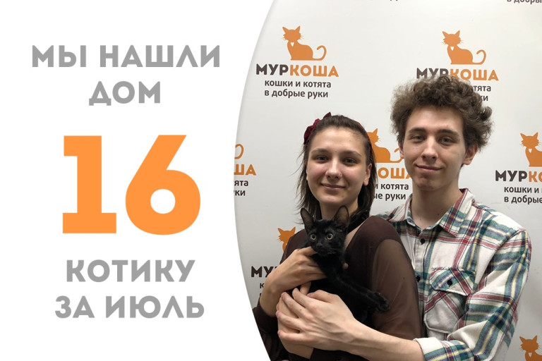 Котёнок Гари Мур, родившийся на дачном участке, проведя неделю в приюте стал домашним! 