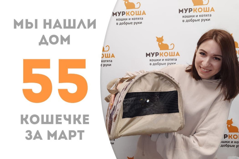 Кошка Горчица начинает новую жизнь!