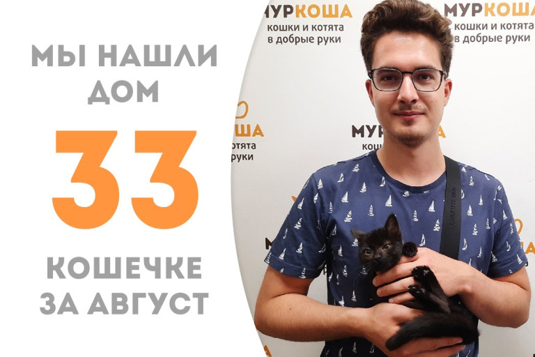 У трёхмесячной кошечки Греты за полтора месяца в приюте появился добрый друг и уютный дом! 