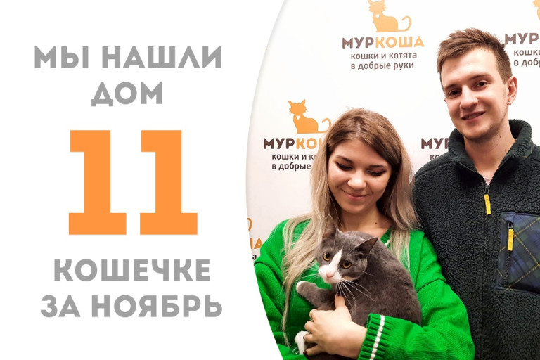 Полуторогодовалая кошечка Гугушка обрела дом и любящих людей! 
