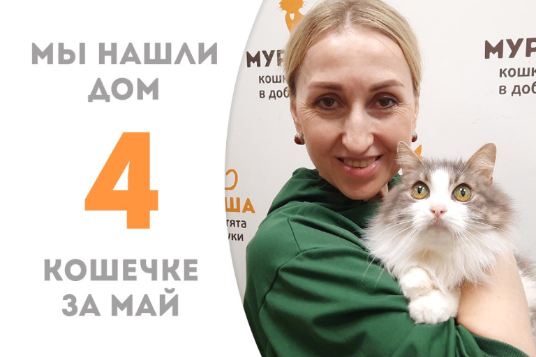 Кошка Изочка начинает новую жизнь! 