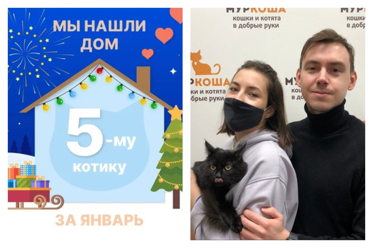 Котик Чибо встретил любящую семью!