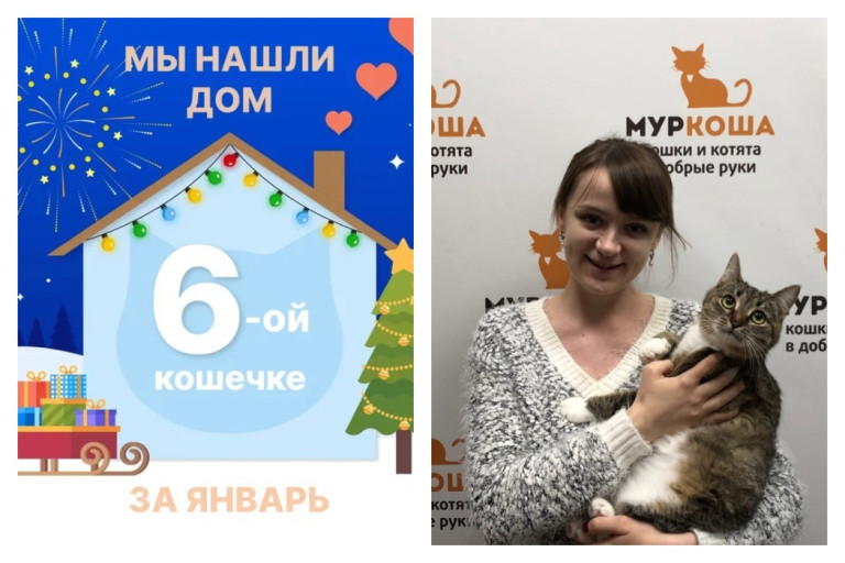 У кошечки Цуццы появилась надёжная хозяйка!