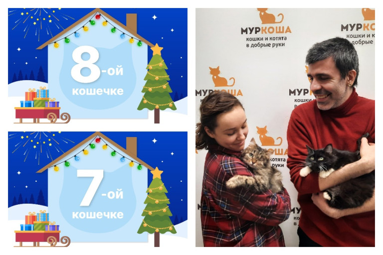 Кошечки Буль-Буль и Кашаса уезжают в одну семью!