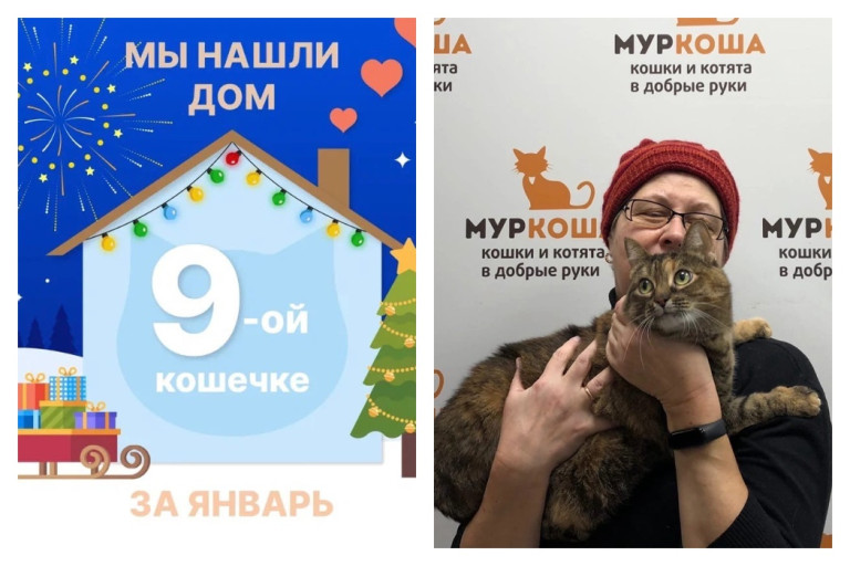 Кошечка Лима встретила заботливую хозяйку!