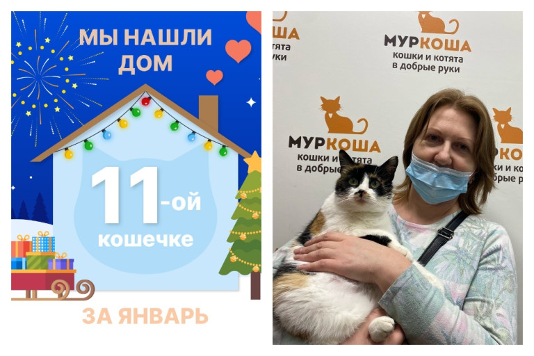 Кошечка Тату стала домашней за два месяца!
