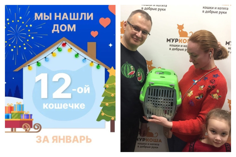У кошечки Кильки теперь есть надёжная семья!