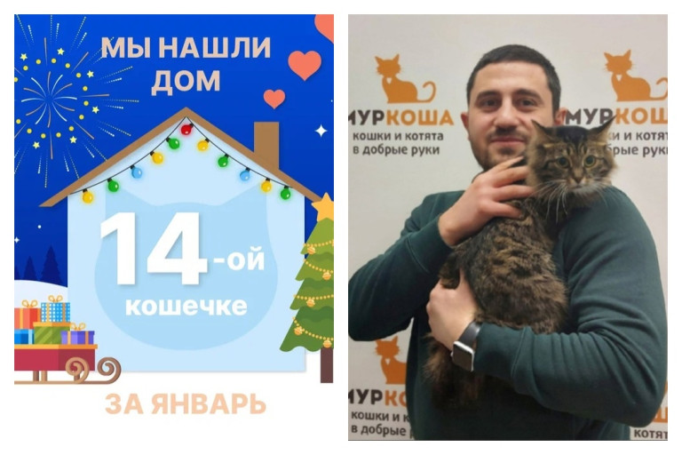 Кошечка Эммануэль стала домашней любимицей!