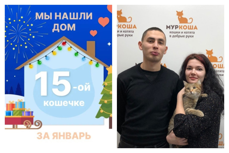 Кошечка Улла встретила настоящих друзей!