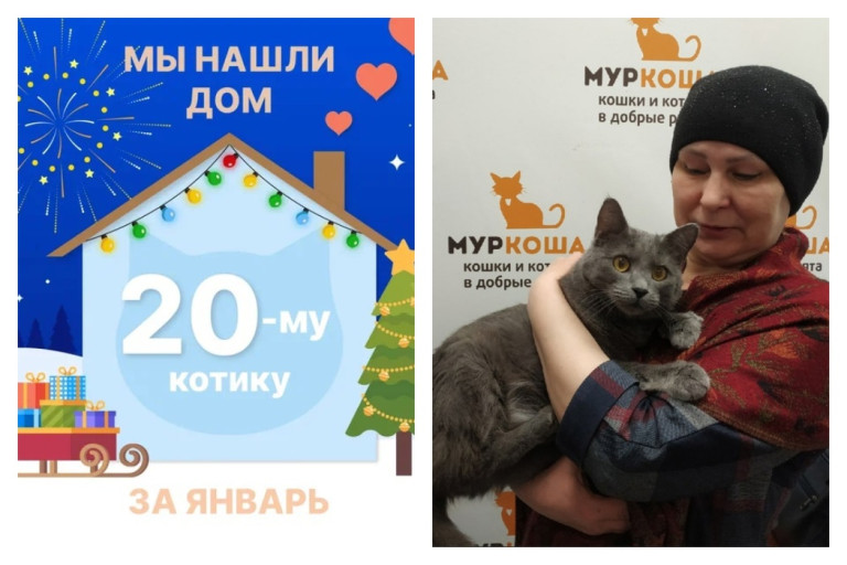 Котик Вулфи отправился домой!