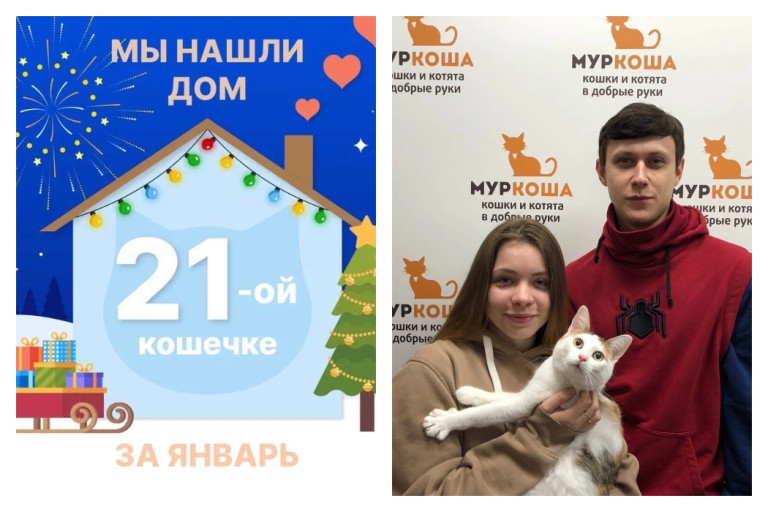 Кошечка Кукумба обрела свою семью!