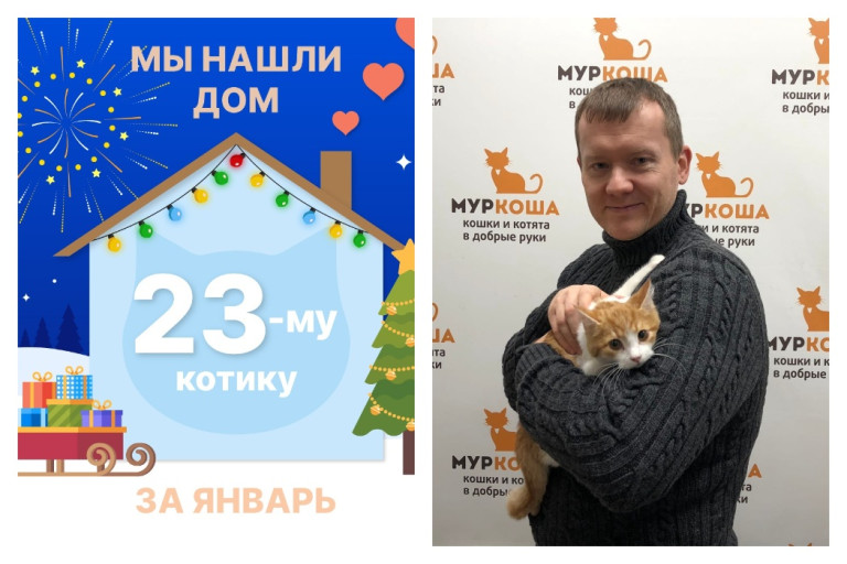 Милый Тави стал домашним за три недели!