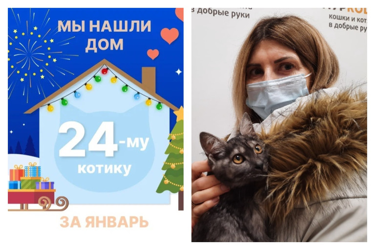 Котёнок Марадона встретил прекрасную хозяйку!