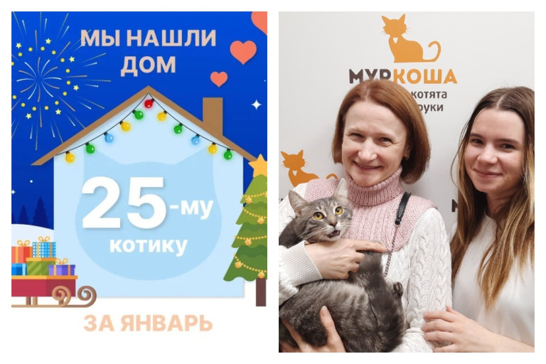 Котик Нэвил отправился в домашнюю сказку!