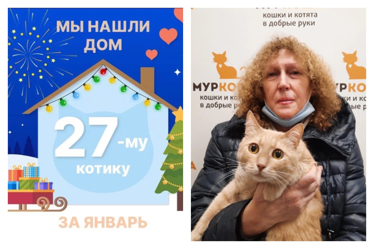 Котик Валли встретил прекрасную хозяйку!