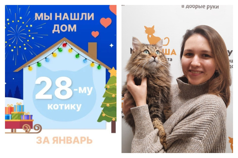 Котик Пушкин начинает счастливую домашнюю жизнь!