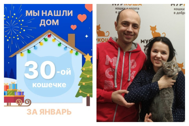 Кошечка Каширка отправилась домой!