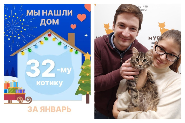 Кот Болидик нашёл свою семью за полтора месяца!