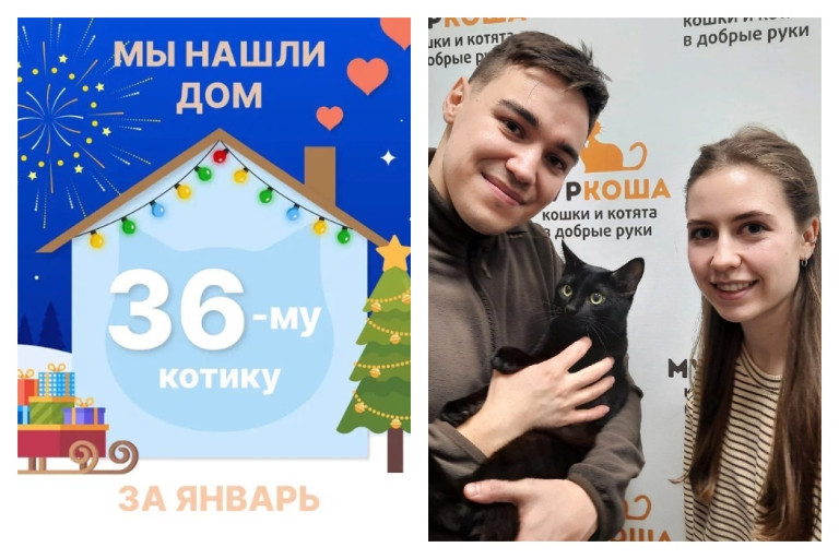 Котёнок Люфик встретил любящих хозяев!