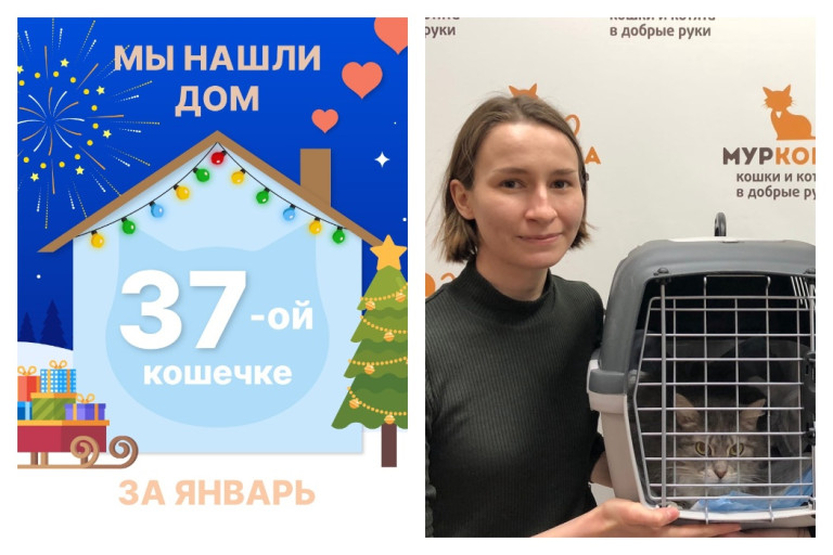Кошечка Пышка отправляет в долгожданную домашнюю жизнь!