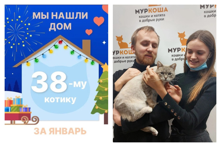 Кот Рожок отправился в новую жизнь!