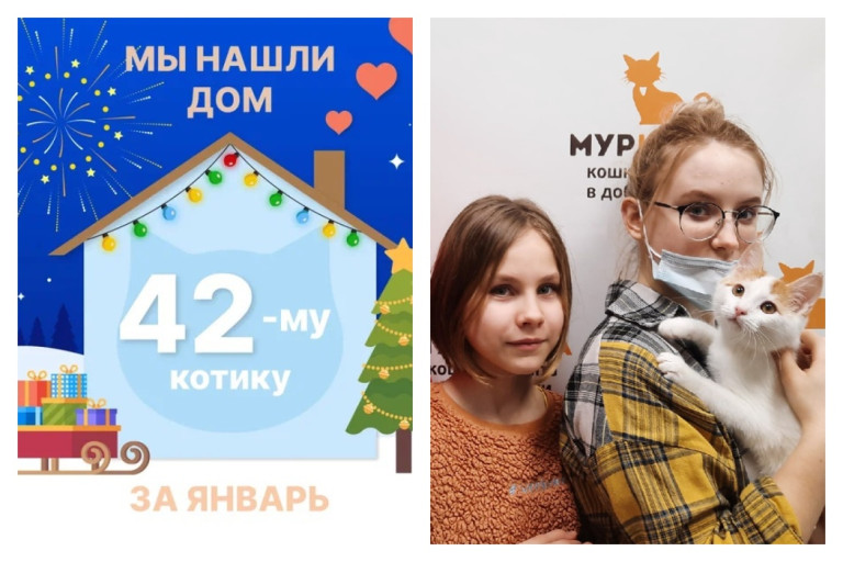 Котик Тики встретил свою прекрасную семью!