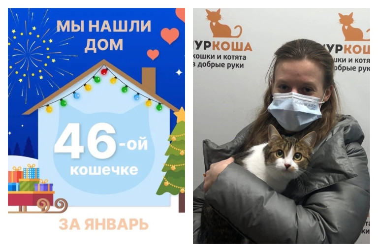 Через три месяца домой уехала кошечка Альда!