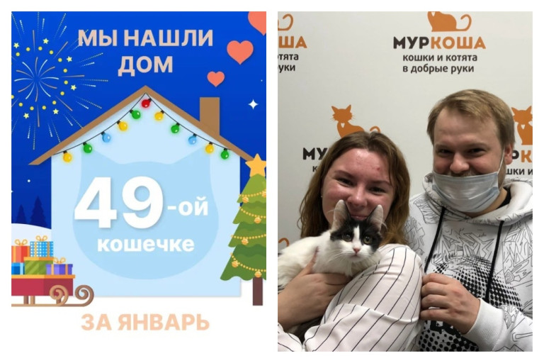 Кошечка Розочка отправилась в счастливую домашнюю жизнь!