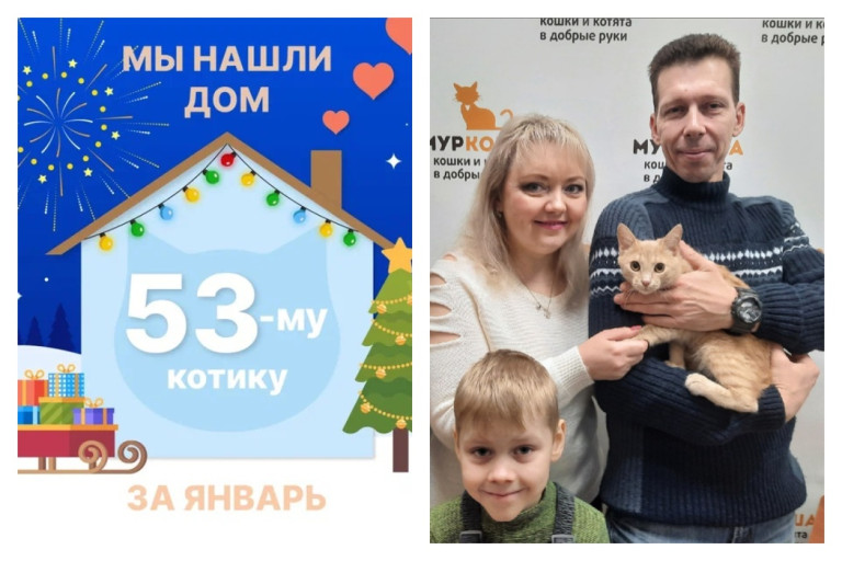 Котик Тьюринг рад познакомить со своей семьёй!