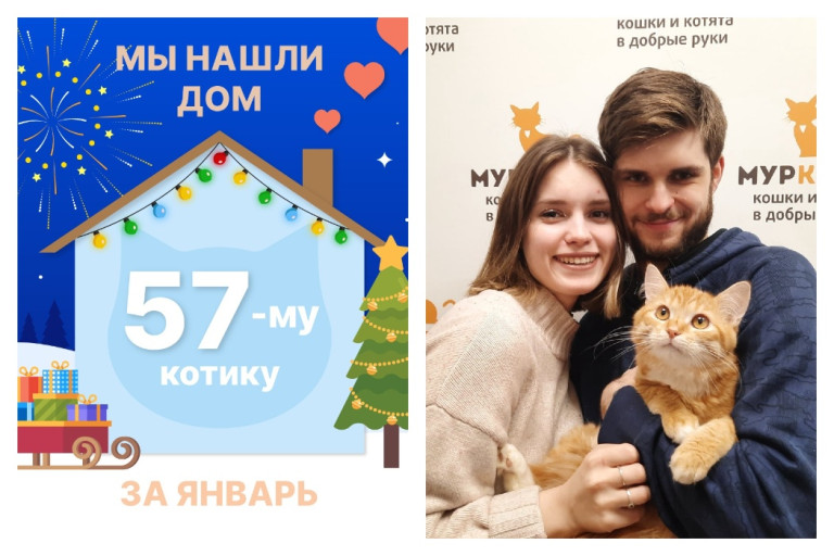 Котик Лунджи теперь домашний и счастливый!