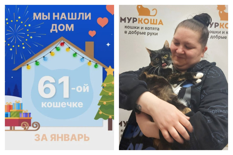 Кошечка Зарима встретила заботливую хозяйку!