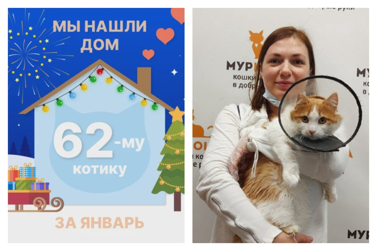 Котик Абрикос стал домашним за полтора месяца!