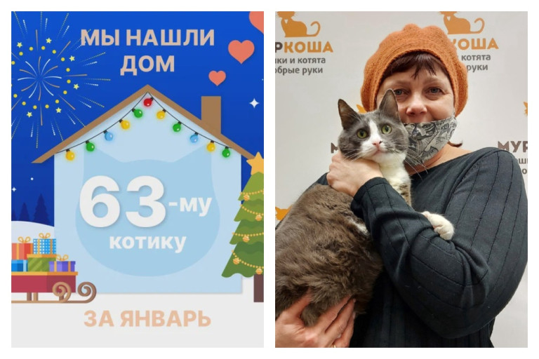Котик Дорофей обрёл домашнее счастье!