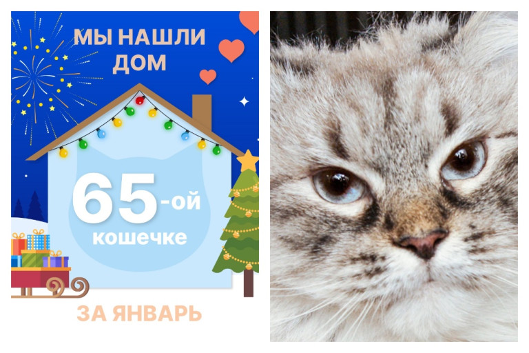 Шикарная Пенка начинает новую жизнь!