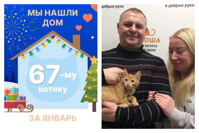 Спустя всего месяц котенок Позитивчик нашёл дом!