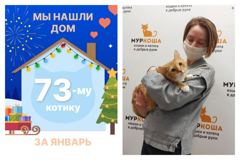 Котик Ярис уезжает в новый дом!