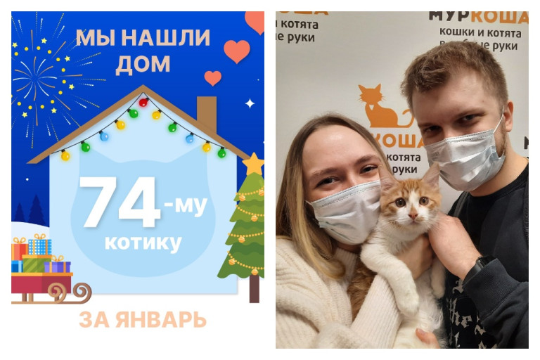 Милаш нашёл дом за три недели!