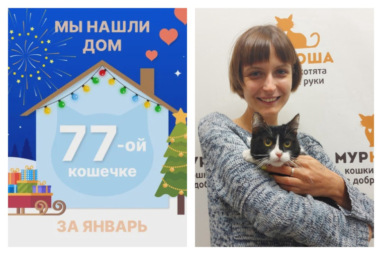 У кошечки Колокольчик появилась надёжная хозяйка!