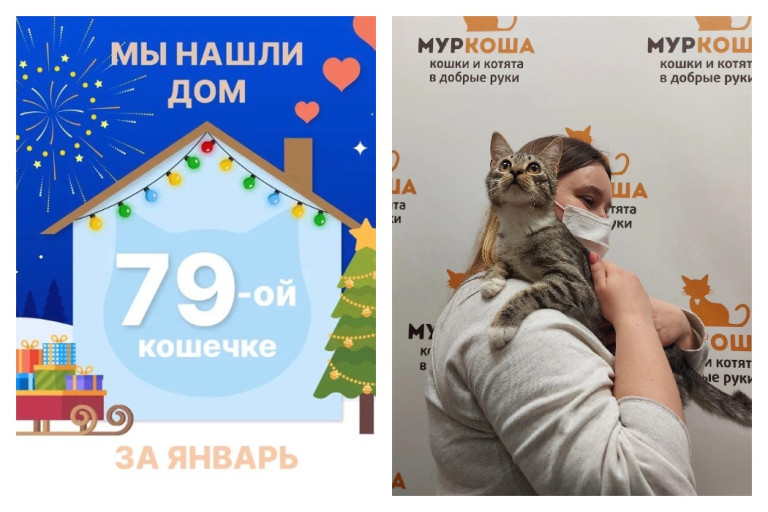 Кошечка Зайчиша через три месяца встретила заботливую хозяйку!
